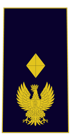 Vice sovrintendente ps.png